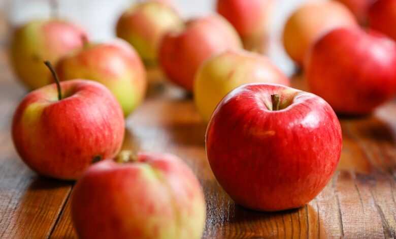 harvest, fruit, apple