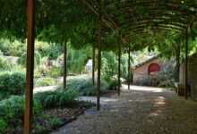 pergola, arbor, nature, garden, plants, shadow, gravel