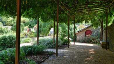 pergola, arbor, nature, garden, plants, shadow, gravel