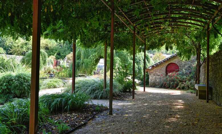 pergola, arbor, nature, garden, plants, shadow, gravel