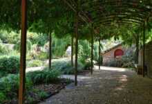 pergola, arbor, garden, plants, nature, shadow, gravel