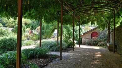pergola, arbor, garden, plants, nature, shadow, gravel