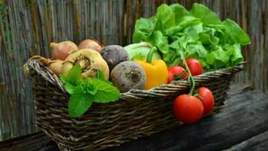 vegetables, basket, nature