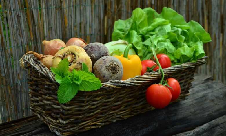 vegetables, basket, nature