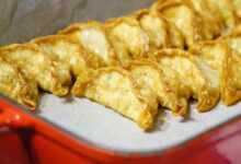 gyoza, dumplings, fried, japanese, japan, pork, vegetable, meat, cabbage, food, gyoza, dumplings, dumplings, dumplings, dumplings, dumplings