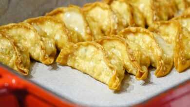 gyoza, dumplings, fried, japanese, japan, pork, vegetable, meat, cabbage, food, gyoza, dumplings, dumplings, dumplings, dumplings, dumplings