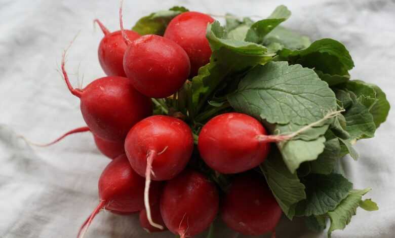 radish, red, vegetables