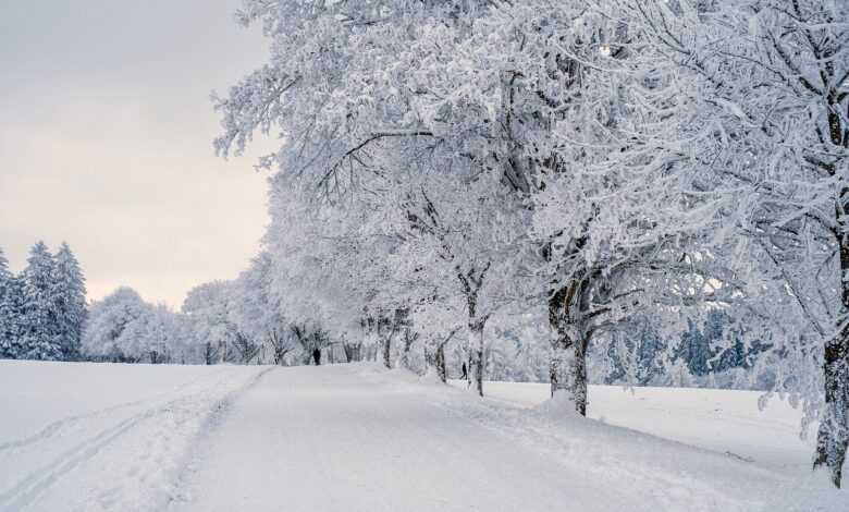 snow, landscape, trees