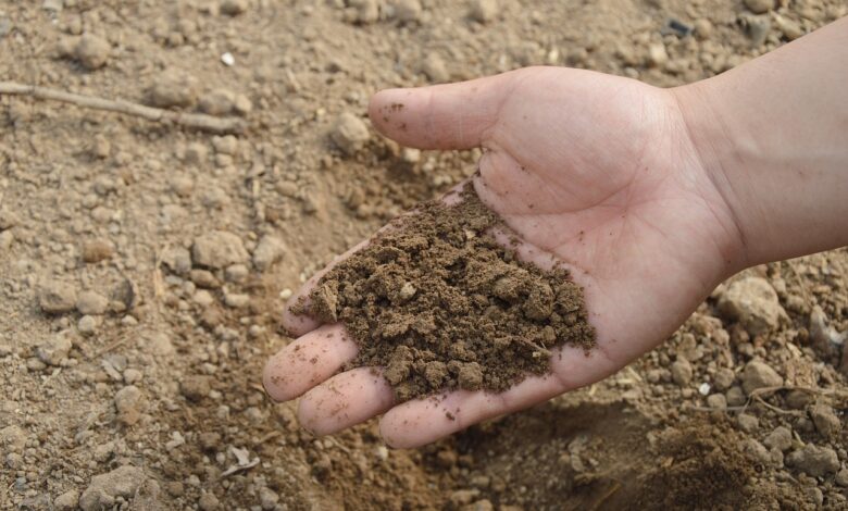 soil, hand, farm, garden, nature, fertilizer, compost, organic, brown garden, brown farm, brown gardening
