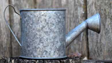 watering can, watering pot, sprinkling can, gardening, garden tool, metal watering can, spring, summer, nature, outdoors