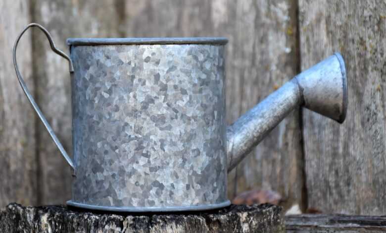 watering can, watering pot, sprinkling can, gardening, garden tool, metal watering can, spring, summer, nature, outdoors
