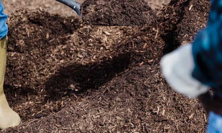 A Person Shoveling the Soil