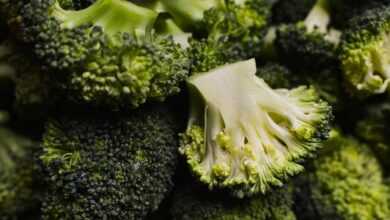 broccoli, vegetable, green vegetable