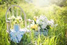 summer still-life, flower background, daisies, yellow, beautiful flowers, nature, flower wallpaper, garden, flowers