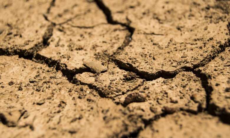 drought, aridity, dry, earth, soil, brown, ground, arid, erosion, barren, land, drought, drought, drought, drought, drought, earth, earth, soil, soil, soil, soil, land