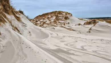 sand dunes, dune landscape, sand, formations, north sea, amrum, landscape, coastal protection, natural reserve, sand dunes, sand, sand, sand, sand, sand, landscape