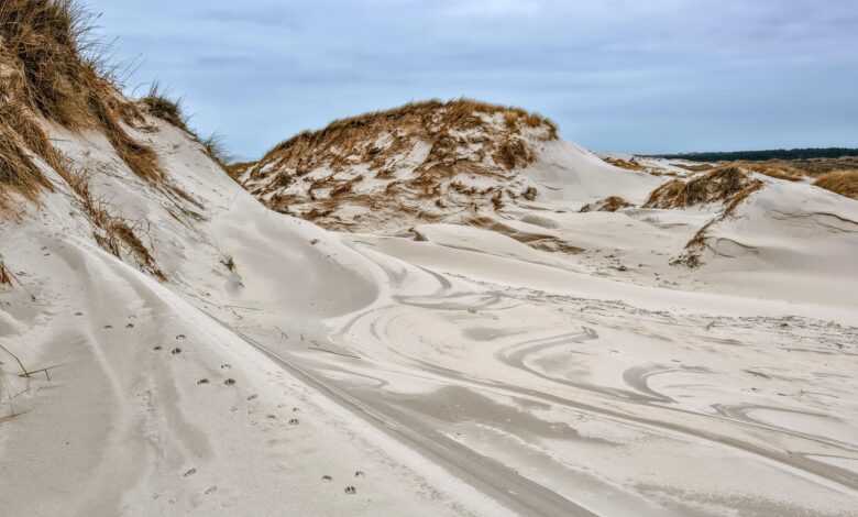 sand dunes, dune landscape, sand, formations, north sea, amrum, landscape, coastal protection, natural reserve, sand dunes, sand, sand, sand, sand, sand, landscape