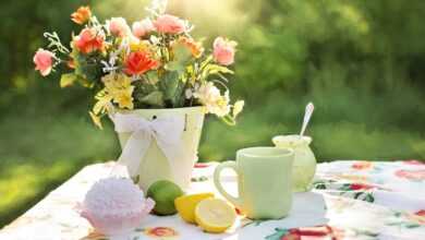 summer, still-life, flower wallpaper, garden, outdoors, flowers, dish, green flower, nature, green life, flower background, beautiful flowers, green summer, green garden, green gardening