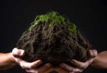 environment, ecology, environmental protection, agricultural turnaround, floor, earth, humus, biomass, compost, biomass, compost, compost, compost, compost, compost