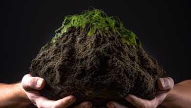 environment, ecology, environmental protection, agricultural turnaround, floor, earth, humus, biomass, compost, biomass, compost, compost, compost, compost, compost