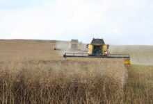 mower, oilseed rape, agriculture, landscape, farm, field, agriculture, agriculture, agriculture, agriculture, agriculture