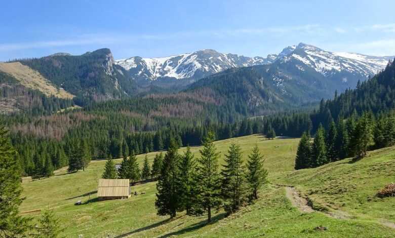 polana kalatówki, mountains, tatra mountains