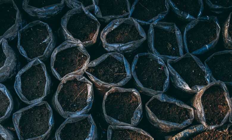 soil, pot plants, plantation