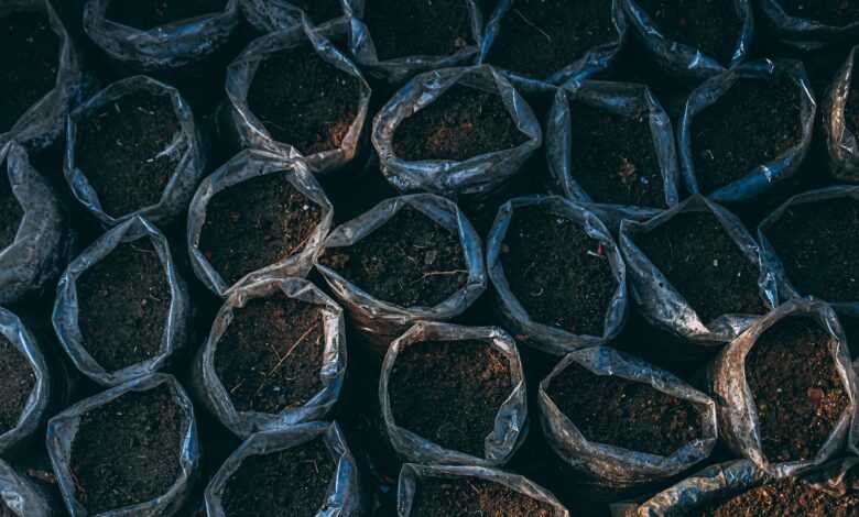 soil, pot plants, plantation, growth, nature, dirt, soil, soil, soil, soil, soil