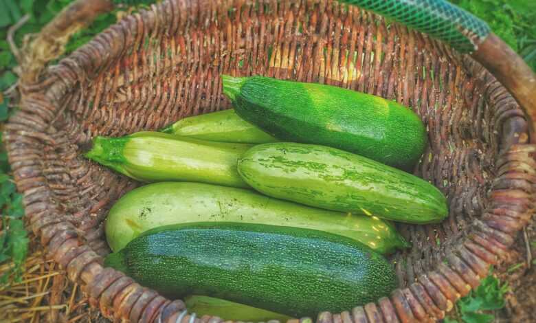 green cucumbers on round brown wicker basket