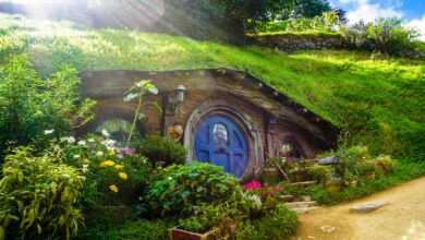 underground house covered with green grass and plants