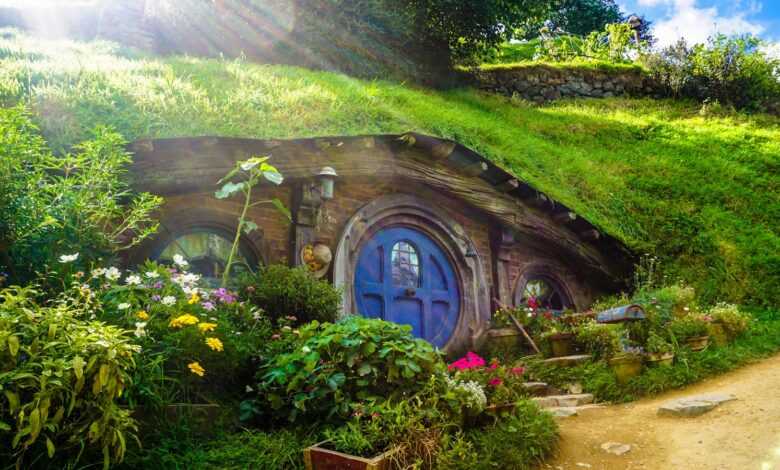 underground house covered with green grass and plants