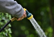 water jet, nature, shower, to water, water, garden, hand, hose
