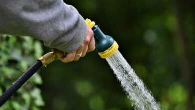 water jet, shower, to water, water, garden, hand, nature, hose