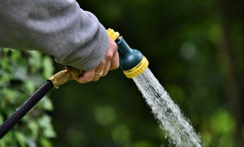 water jet, shower, to water, water, garden, hand, nature, hose