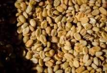 coffee, nature, texture, food, organic, coffee beans, aroma, colombia, yellow, coffee, coffee, coffee, coffee, texture, food, coffee beans, coffee beans, coffee beans, coffee beans, coffee beans, colombia