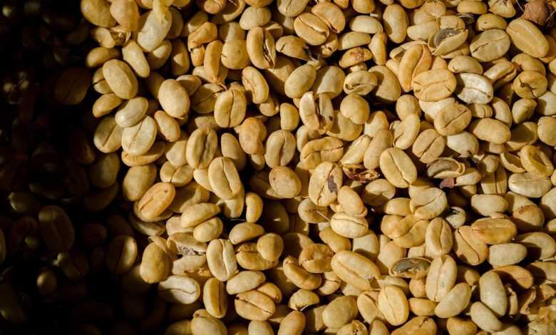 coffee, nature, texture, food, organic, coffee beans, aroma, colombia, yellow, coffee, coffee, coffee, coffee, texture, food, coffee beans, coffee beans, coffee beans, coffee beans, coffee beans, colombia
