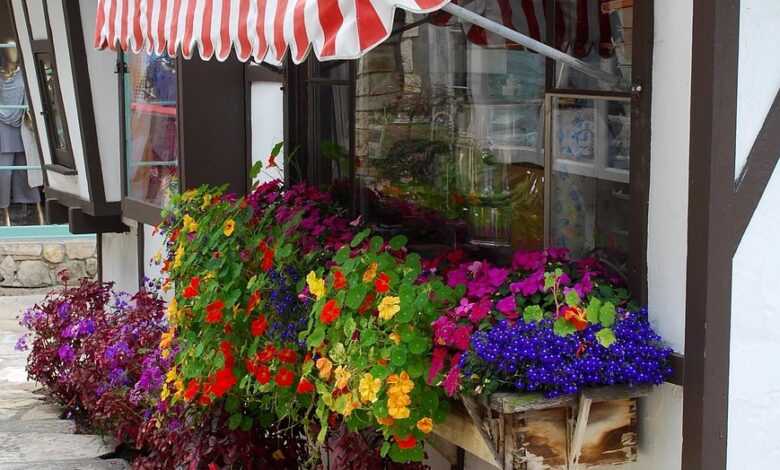 window box, awning, nature, plant, tudor, exterior, window, europe, awning, awning, awning, awning, awning