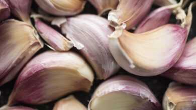 garlic, clove, raw, vegetables, healthy, nutrition, diet, cooking, macro, closeup, ingredient, garlic, garlic, garlic, garlic, garlic