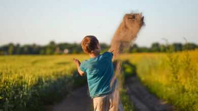 boy, kid, baby, play, childhood, happiness, happy, joy, cute, adventure, freedom, nature, kid, kid, childhood, childhood, childhood, happiness, adventure, adventure, freedom, freedom, freedom, freedom, freedom
