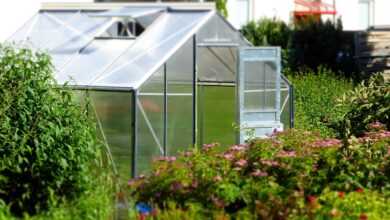 greenhouse, garden, glass house