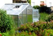 greenhouse, garden, glass house, planting, nature, garden accessories, growth, climate