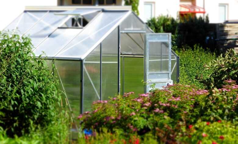 greenhouse, garden, glass house, planting, nature, garden accessories, growth, climate