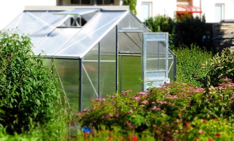 greenhouse, garden, glass house