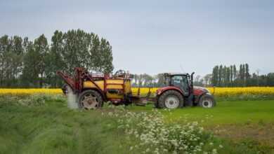 agriculture, tractor, farming