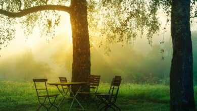 sunrise, morning, chairs, table, trees, foggy, misty, backlight, nature, happy, quiet, optimism, positive, beginning, green, leaves, garden, garden, garden, garden, garden, garden