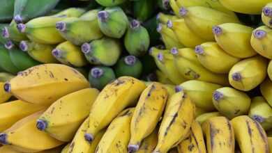 bananas, ripe, fruit, market, yellow, green, fruit, fruit, fruit, fruit, fruit