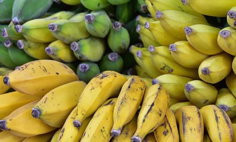 bananas, ripe, fruit, market, yellow, green, fruit, fruit, fruit, fruit, fruit
