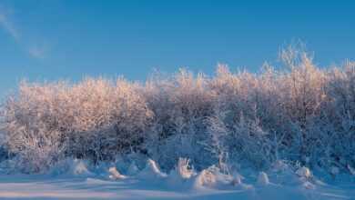 winter, landscape, snow