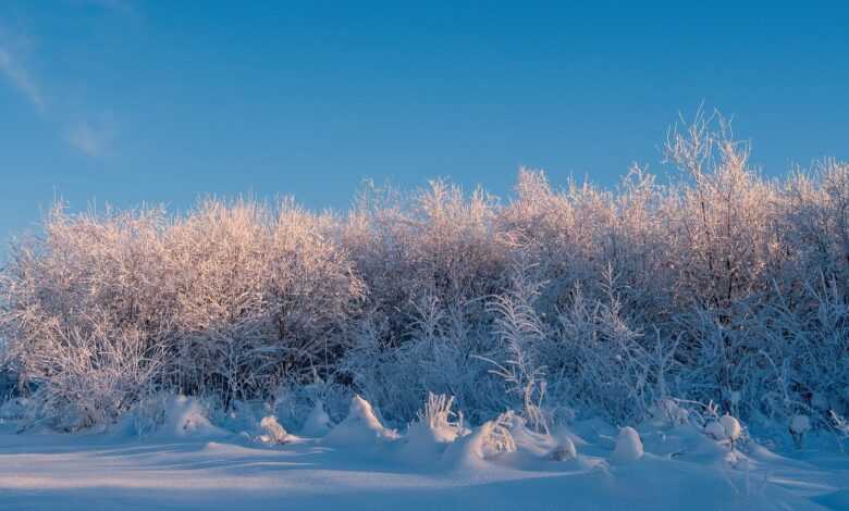 winter, landscape, snow