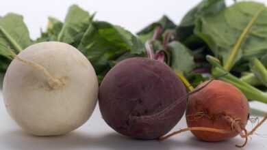 vegetables, beetroot, turnip, rättich, beetroot, turnip, turnip, turnip, turnip, turnip